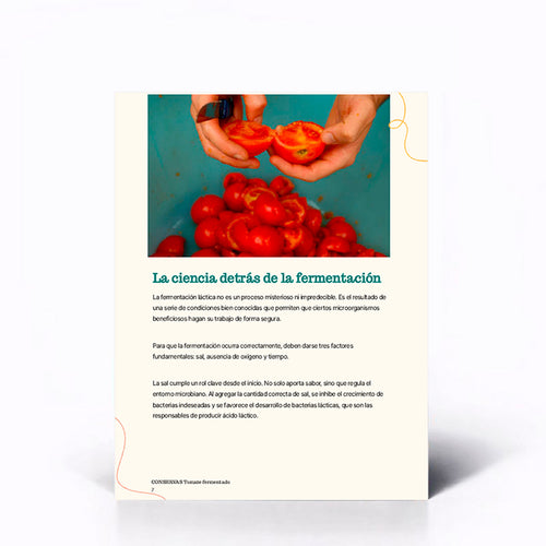 Conservas: Tomate fermentado. Tiempo, sal y transformación